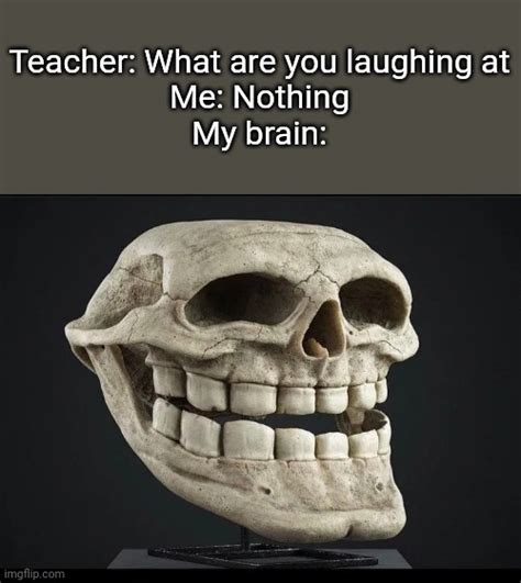 Free skull face photos for download. . Skeleton face meme
